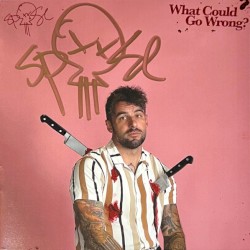 What Could Go Wrong?