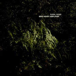 Bird Heart Amplifier