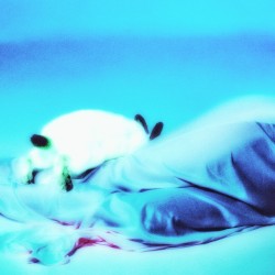 My Trust My Love (Catching Flies remix)