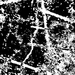 Open Your Eyes; Let This Destroy You