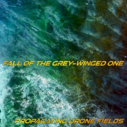 Propagating Drone Fields