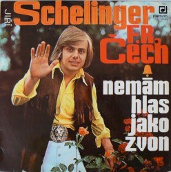 Nemám Hlas Jako Zvon