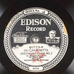 Canzonetta / Concert Etude no. 2 / Am Springbrunnen