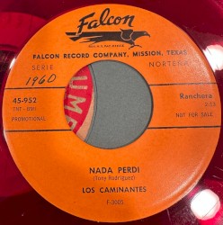 Nada perdí / Solito lloro