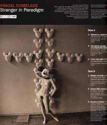 Stranger In Paradigm