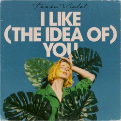 I Like (the Idea of) You