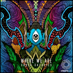 Where We Are