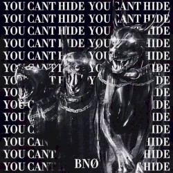 You Can't Hide