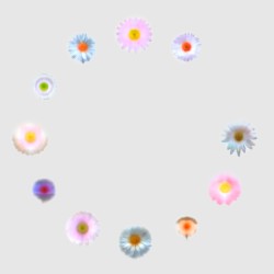 Chrysanthe (Torus X THE SOUP™)