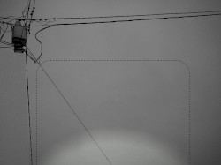 rd-Dtl