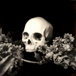 Superstition Plagues the Purity of All