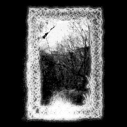 Shattered Mirror