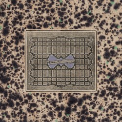 Verwandlung im Schlaf