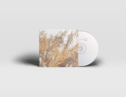 Salix