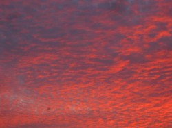 Studio Session June 2020