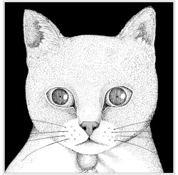 ALL YOU NEED IS CAT〜猫こそはすべて