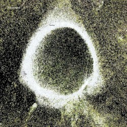 Amiira - Curious Objects