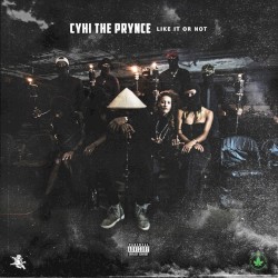 Like It Or Not (Single)