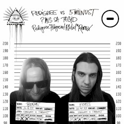 ?mis sa tegid (feat. 5MIINUST) [Pedigree "Hägused Pildid" Remix]
