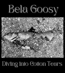 Diving Into Cotton Tears