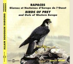 Rapaces diurnes et nocturnes d’Europe de l’Ouest / Birds of Prey and Owls of Western Europe