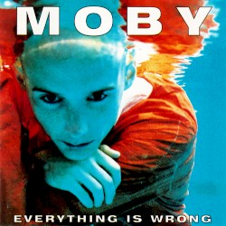 Everything Is Wrong