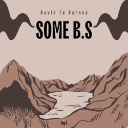 Some B.S