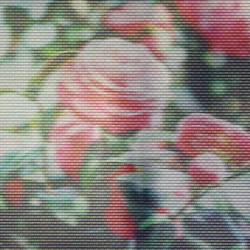 The Roof of Your Mouth