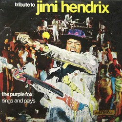 Tribute to Jimi Hendrix