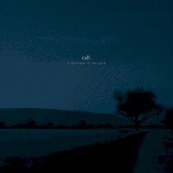 A Shimmer in the Void