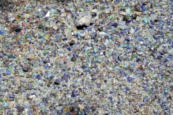 We Are the Recycled Air We Breathe