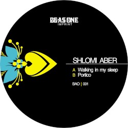 Walking in My Sleep / Portico