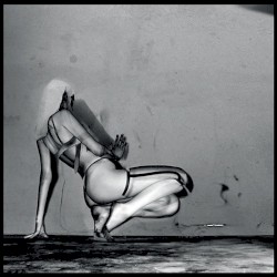 Where Did the Night Fall