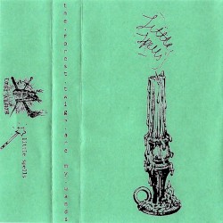 The Forest Twigs Are My Wands