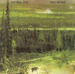 Forest and Bear