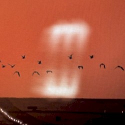 United in Flames 14th July 2021