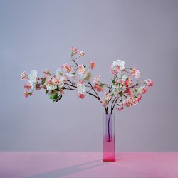 the idea of you (revisited)