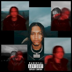 DO NOT DISTURB (DELUXE)