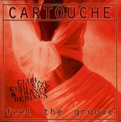 Feel the Groove (remix)