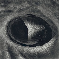 A Voluntary Beginning EP