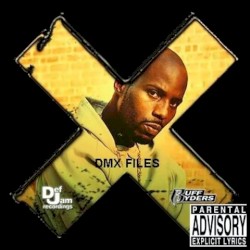 The DMX Files