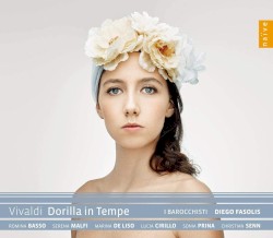 Dorilla in Tempe