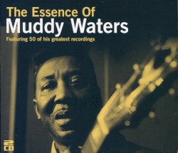 The Essence of Muddy Waters
