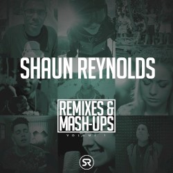 Remixes & Mash-Ups Vol.1