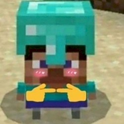 MINECRAFT ONG
