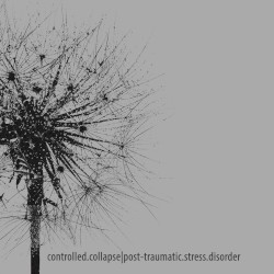 Post-Traumatic Stress Disorder