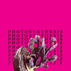 Photosynthesis