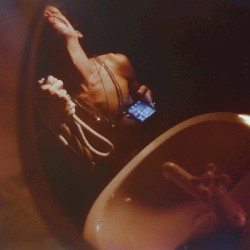 As novas aventuras do mercado-deus