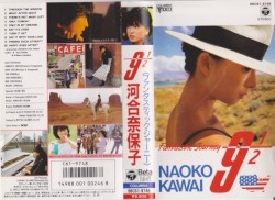 Fantastic Journey 9½