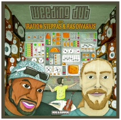 Sound System DNA / Gypsy Dub